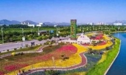 鹿泉问题最新爆料,真相与争议交织